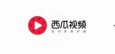 今日头条官瓜,揭秘平台最新动态与热点事件！
