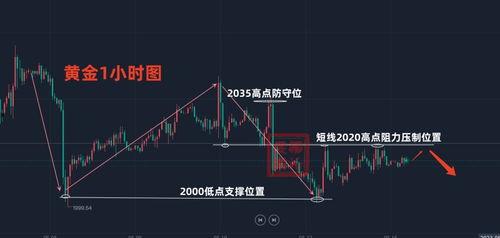 瓠瓜今日行情走势分析,今日走势深度剖析