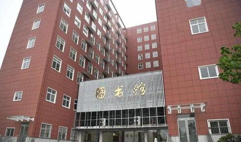 今日吃瓜潍坊学院军训,青春汗水映照成长足迹
