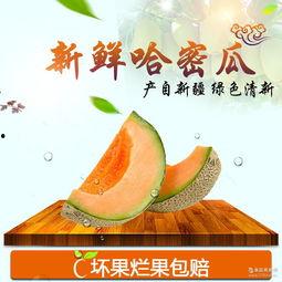 新疆哈密瓜今日行情,甜蜜上市，价格波动解析