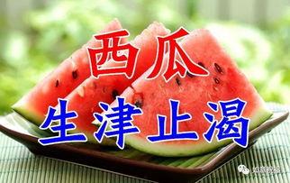 今日入伏吃三瓜 新闻,今日入伏，吃三瓜助您清凉度夏