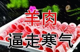 今日入伏吃三瓜 新闻,今日入伏，吃三瓜助您清凉度夏