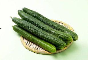 四川今日吃瓜,瓜田李下，美食与趣闻共舞