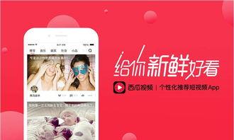 红瓜视频今日头条,揭秘热门话题背后的精彩瞬间