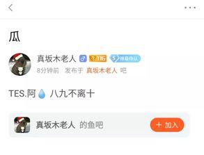 今日头条老板卖瓜,揭秘自媒体时代的“瓜农”传奇