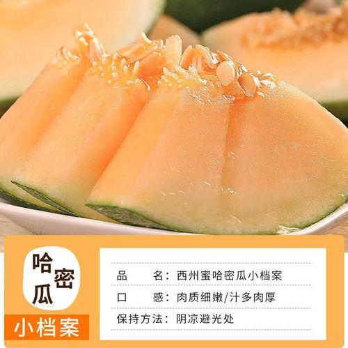 今日西州蜜瓜价格,价格走俏，甜蜜上市季