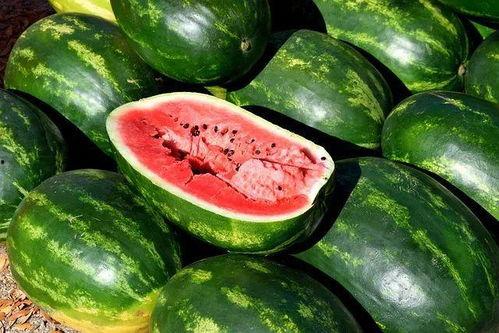 51热门今日吃瓜大全,盘点娱乐圈最新热点事件