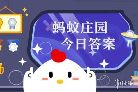 蚂蚁庄园今日答案面条瓜,探寻神秘面食的起源与魅力