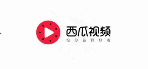 汉中今日头条卖瓜,新鲜瓜果热销，尽享夏日清凉时光