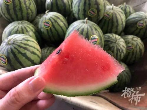 小喜瓜今日价格最新行情,价格波动解析与市场趋势洞察”