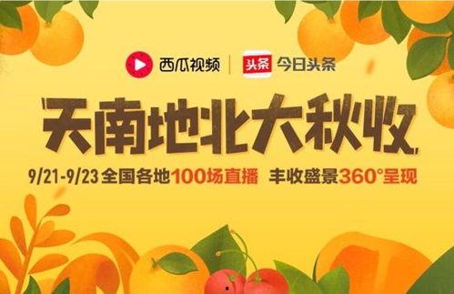 今日宜扭蛋的瓜,揭秘瓜界新潮流