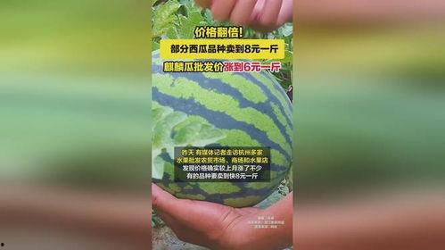 麒麟瓜批发今日价格,涨跌波动解析