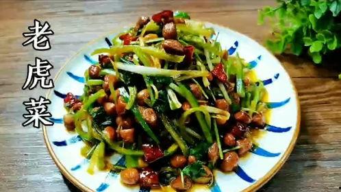 今日吃瓜老虎菜全集,揭秘娱乐圈幕后风云