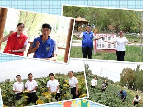 瓜州快板今日新闻,聚焦瓜州发展动态，共话民生福祉