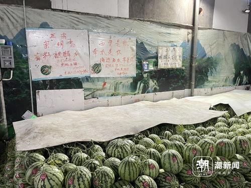 盐城麒麟瓜今日价格