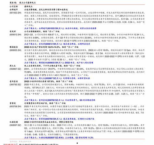 今日白瓜行情走势最新,今日走势解析与展望