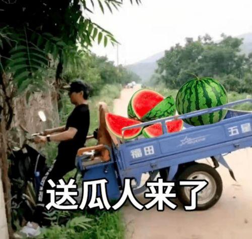 今日吃瓜文案短句搞笑,搞笑文案盘点