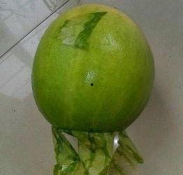 潮州今日吃瓜事件,一场网络热议背后的真相揭秘